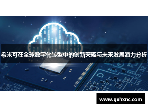希米可在全球数字化转型中的创新突破与未来发展潜力分析